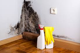 Best Real Estate Mold Inspection  in Lynchburg, OH